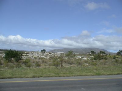 DSC00613.JPG
