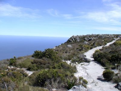DSC00807.JPG