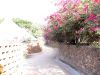 DSC00289.JPG