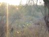DSC00303.JPG