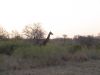 DSC00304.JPG