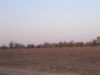DSC00305.JPG