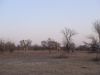 DSC00307.JPG