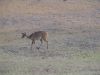 DSC00338.JPG