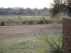 DSC00339.JPG