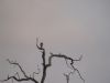 DSC00345.JPG