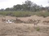 DSC00376.JPG