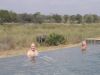 DSC00385.JPG