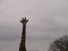 DSC00406.JPG