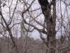 DSC00408.JPG
