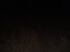 DSC00413.JPG