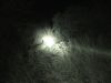 DSC00415.JPG