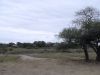 DSC00441.JPG
