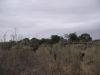 DSC00443.JPG