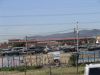 DSC00450.JPG