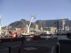 DSC00460.JPG