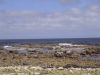 DSC00559.JPG