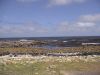 DSC00571.JPG
