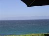 DSC00580.JPG
