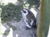 DSC00584.JPG