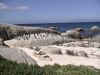DSC00585.JPG