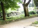 DSC01250.JPG