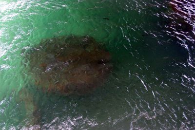 BKH_0909.JPG