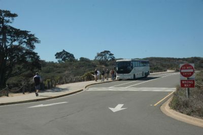 DSC_0031.jpg