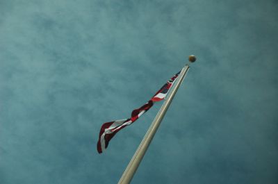 DSC_0099.jpg
