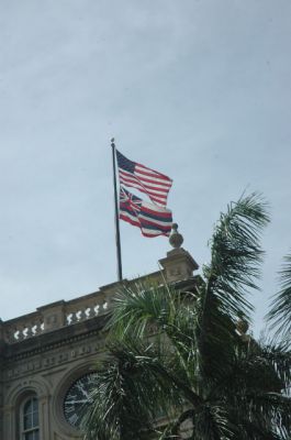 DSC_0118.jpg