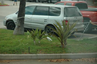 DSC_0228.jpg