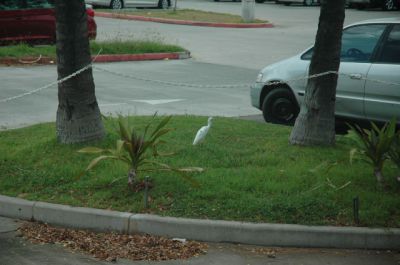 DSC_0231.jpg