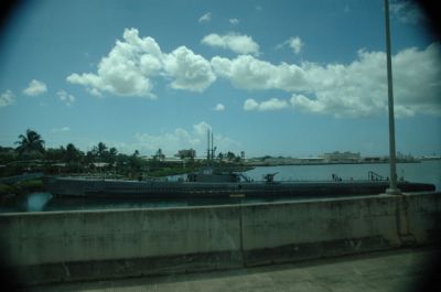 DSC_0233.jpg