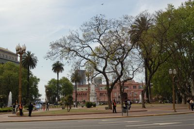 254.JPG