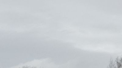 DSC05023.jpg